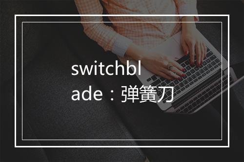 switchblade：弹簧刀