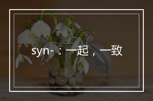 syn-：一起，一致