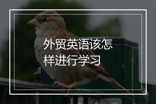 外贸英语该怎样进行学习