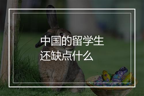 中国的留学生还缺点什么