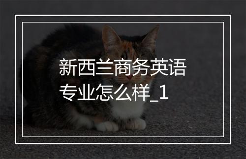 新西兰商务英语专业怎么样_1