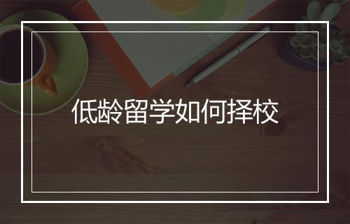 低龄留学如何择校