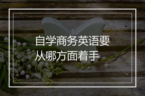 自学商务英语要从哪方面着手