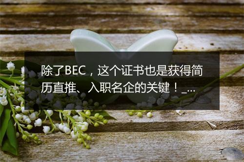 除了BEC，这个证书也是获得简历直推、入职名企的关键！_1