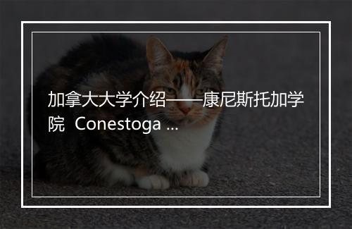 加拿大大学介绍——康尼斯托加学院  Conestoga College