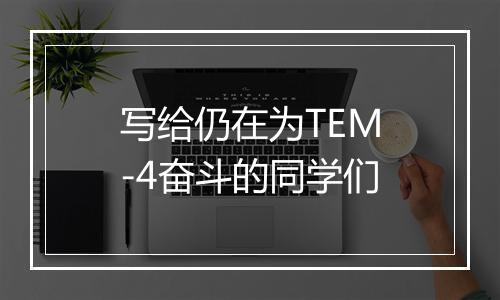 写给仍在为TEM-4奋斗的同学们