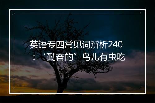 英语专四常见词辨析240：“勤奋的”鸟儿有虫吃