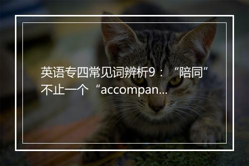 英语专四常见词辨析9：“陪同”不止一个“accompany”