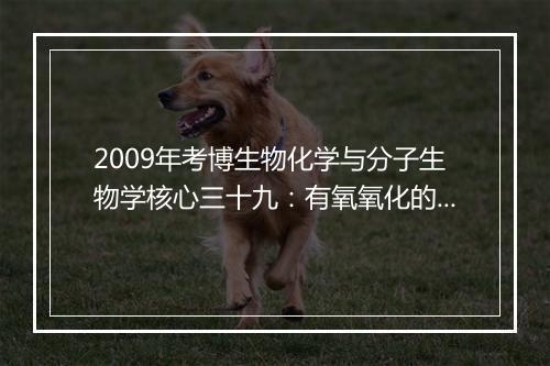 2009年考博生物化学与分子生物学核心三十九：有氧氧化的调节和巴斯德效应