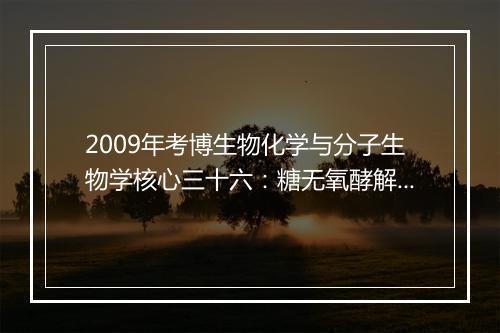 2009年考博生物化学与分子生物学核心三十六：糖无氧酵解的生理意义