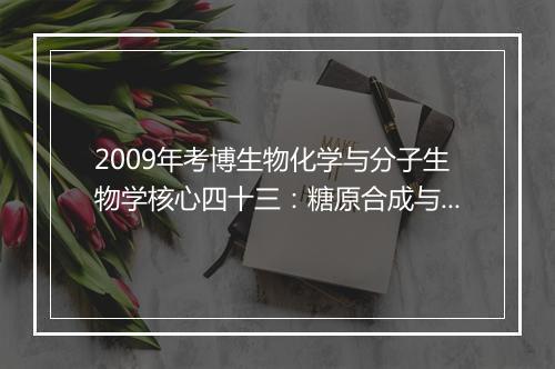 2009年考博生物化学与分子生物学核心四十三：糖原合成与分解的生理意义