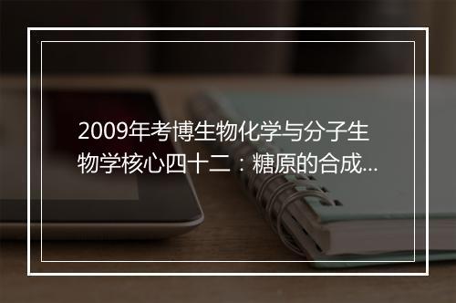 2009年考博生物化学与分子生物学核心四十二：糖原的合成与分解