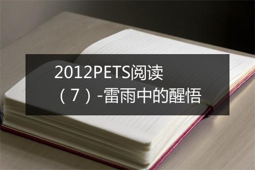 2012PETS阅读（7）-雷雨中的醒悟