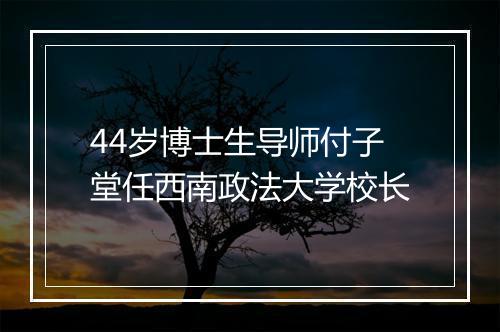 44岁博士生导师付子堂任西南政法大学校长