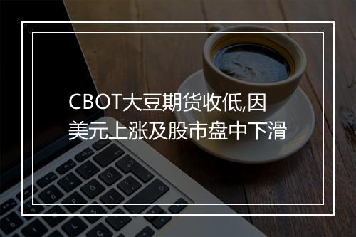 CBOT大豆期货收低,因美元上涨及股市盘中下滑