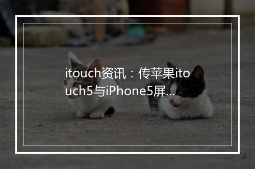 itouch资讯：传苹果itouch5与iPhone5屏幕同样大