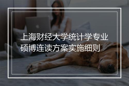 上海财经大学统计学专业硕博连读方案实施细则