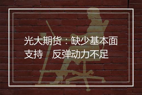 光大期货：缺少基本面支持　反弹动力不足