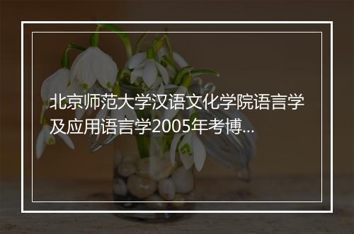 北京师范大学汉语文化学院语言学及应用语言学2005年考博试题