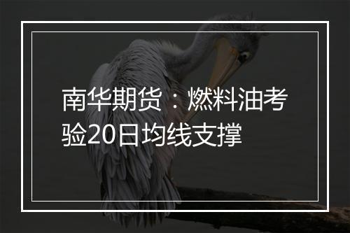 南华期货：燃料油考验20日均线支撑