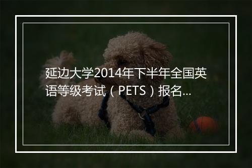 延边大学2014年下半年全国英语等级考试（PETS）报名通知