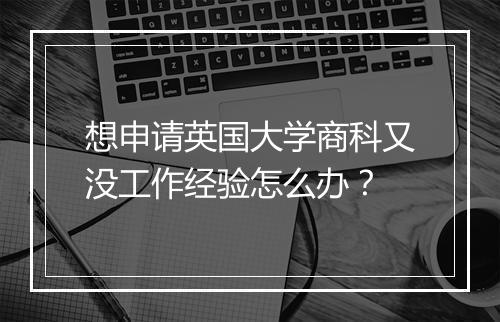 想申请英国大学商科又没工作经验怎么办？