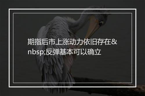 期指后市上涨动力依旧存在 反弹基本可以确立