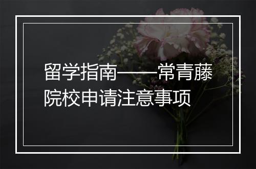 留学指南——常青藤院校申请注意事项