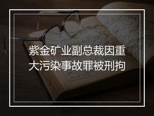 紫金矿业副总裁因重大污染事故罪被刑拘