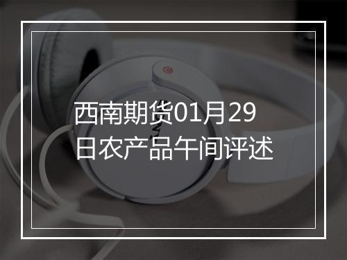 西南期货01月29日农产品午间评述