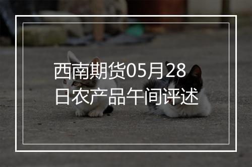 西南期货05月28日农产品午间评述