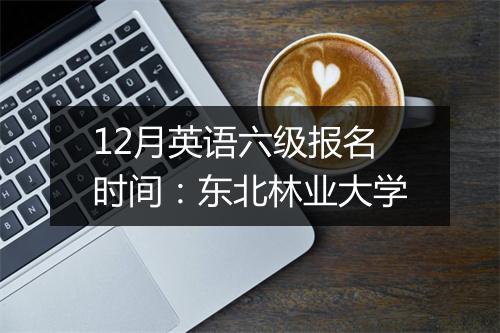 12月英语六级报名时间：东北林业大学