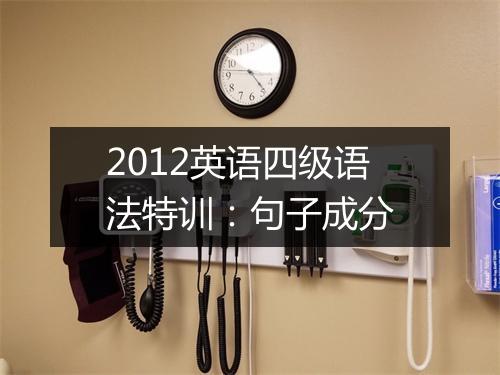 2012英语四级语法特训：句子成分