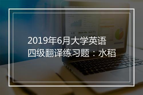 2019年6月大学英语四级翻译练习题：水稻