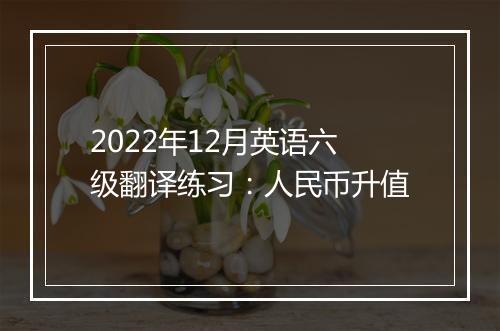 2022年12月英语六级翻译练习：人民币升值