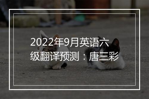 2022年9月英语六级翻译预测：唐三彩