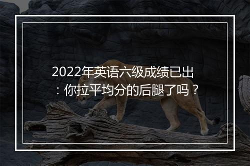 2022年英语六级成绩已出：你拉平均分的后腿了吗？