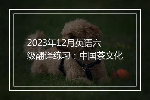 2023年12月英语六级翻译练习：中国茶文化