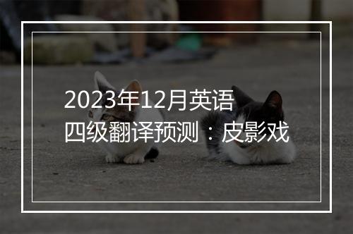 2023年12月英语四级翻译预测：皮影戏