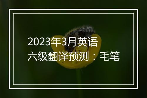 2023年3月英语六级翻译预测：毛笔