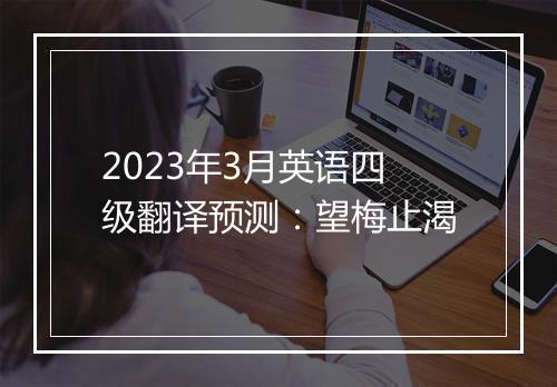 2023年3月英语四级翻译预测：望梅止渴