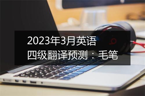 2023年3月英语四级翻译预测：毛笔