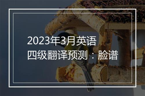 2023年3月英语四级翻译预测：脸谱