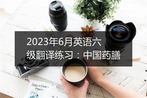 2023年6月英语六级翻译练习：中国药膳