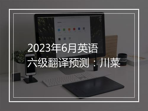 2023年6月英语六级翻译预测：川菜