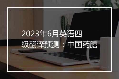 2023年6月英语四级翻译预测：中国药膳