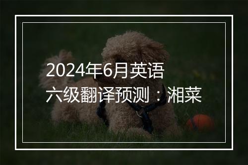 2024年6月英语六级翻译预测：湘菜