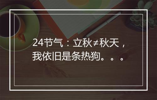 24节气：立秋≠秋天，我依旧是条热狗。。。