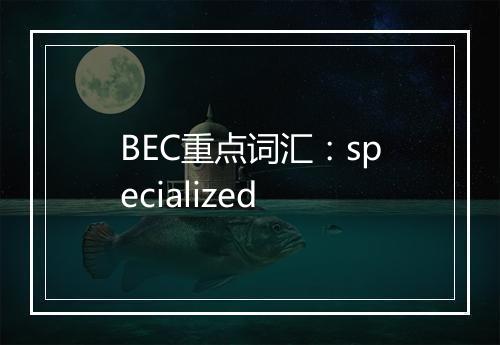 BEC重点词汇：specialized