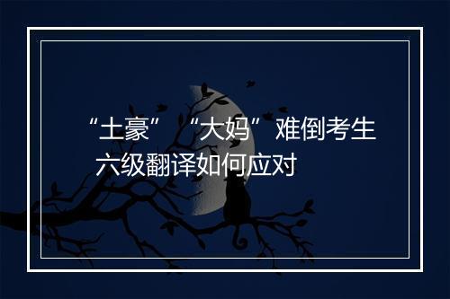 “土豪”“大妈”难倒考生   六级翻译如何应对